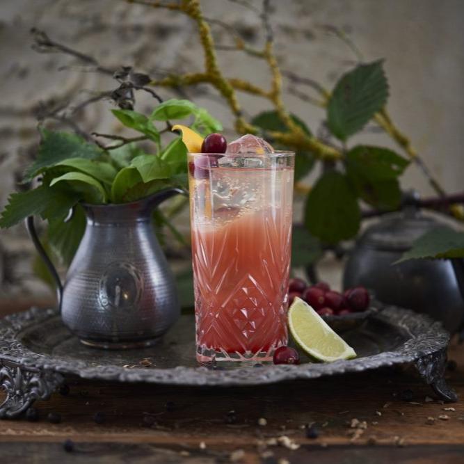 Bloody Scotland Gin cocktail in a highball glass with plants in the background.