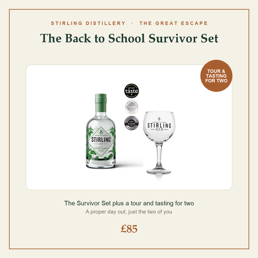 The Back to School Survivor Set